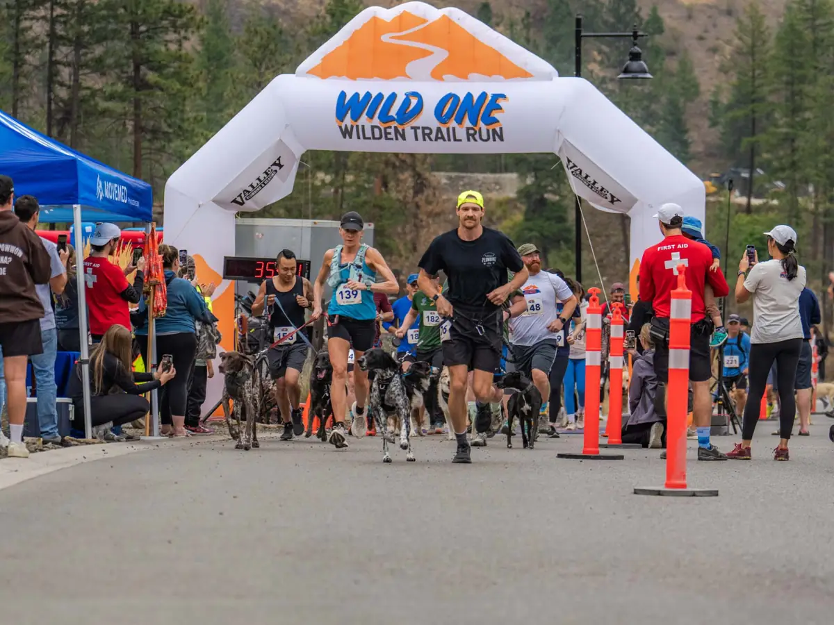 Runners packed behind the start arch at the gun